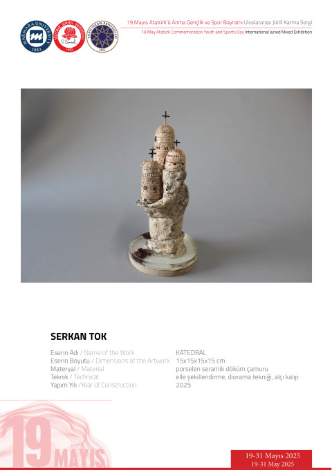 SERKAN TOK